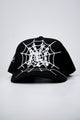 NY Spider Web